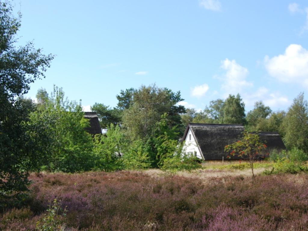 Doppelhaushaelfte In Vitte Auf Hiddensee Exteriér fotografie