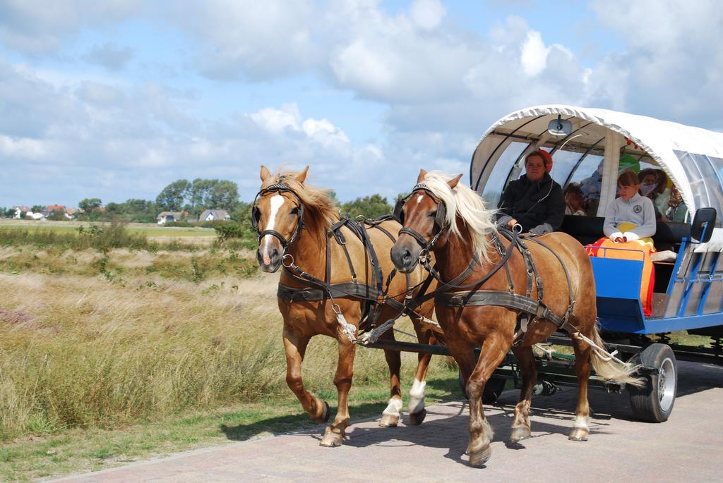 Doppelhaushaelfte In Vitte Auf Hiddensee Exteriér fotografie